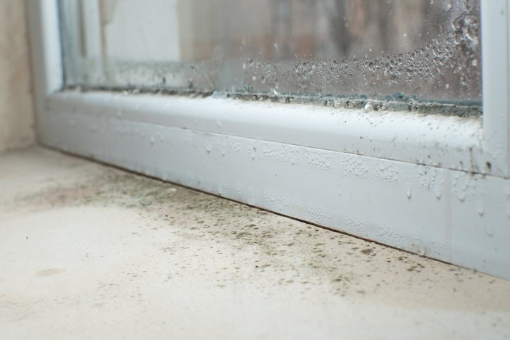 Mold spots and condensation on a Vancouver home window sill