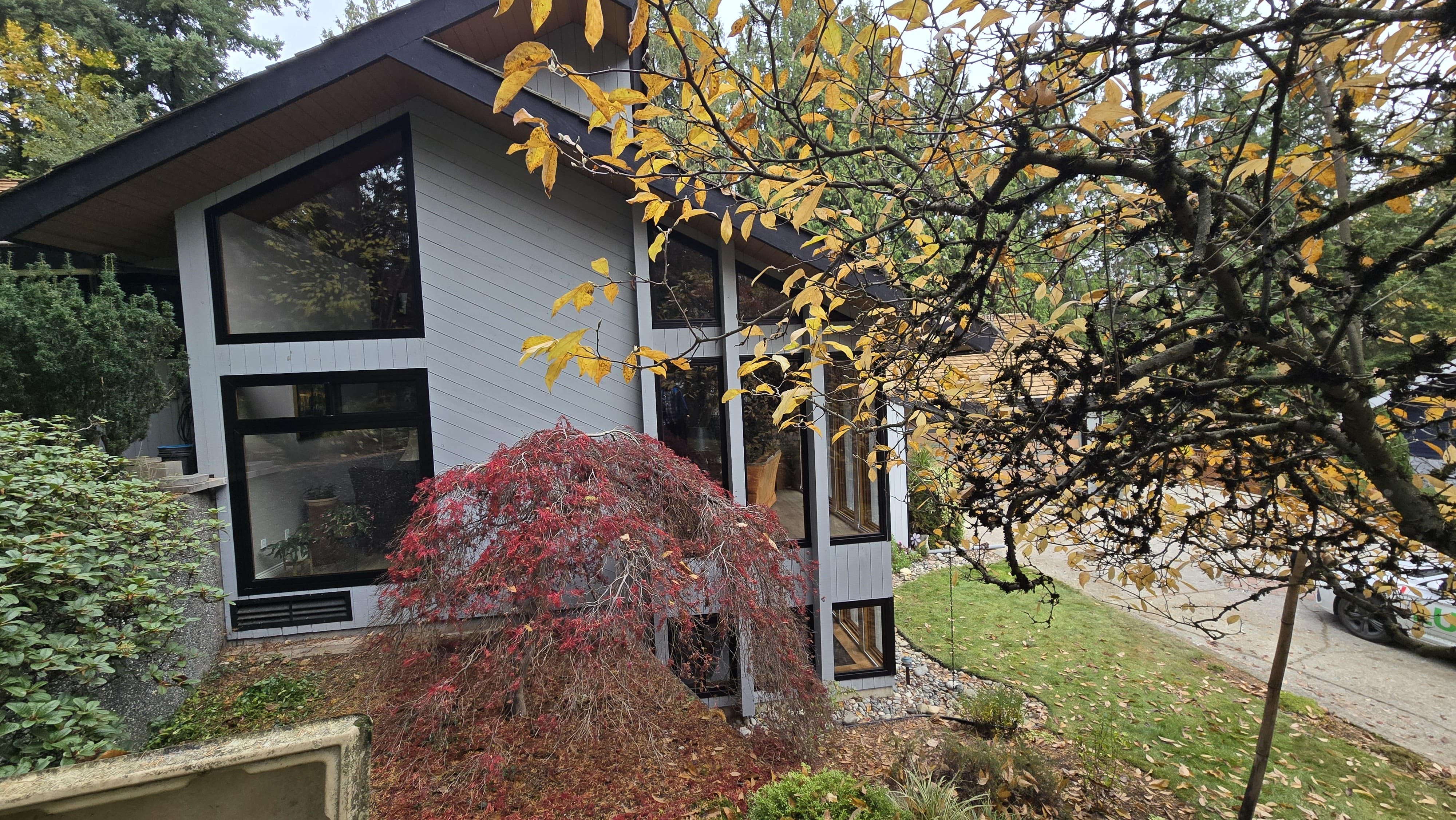 Modern Maple Ridge home with custom black-framed windows installed