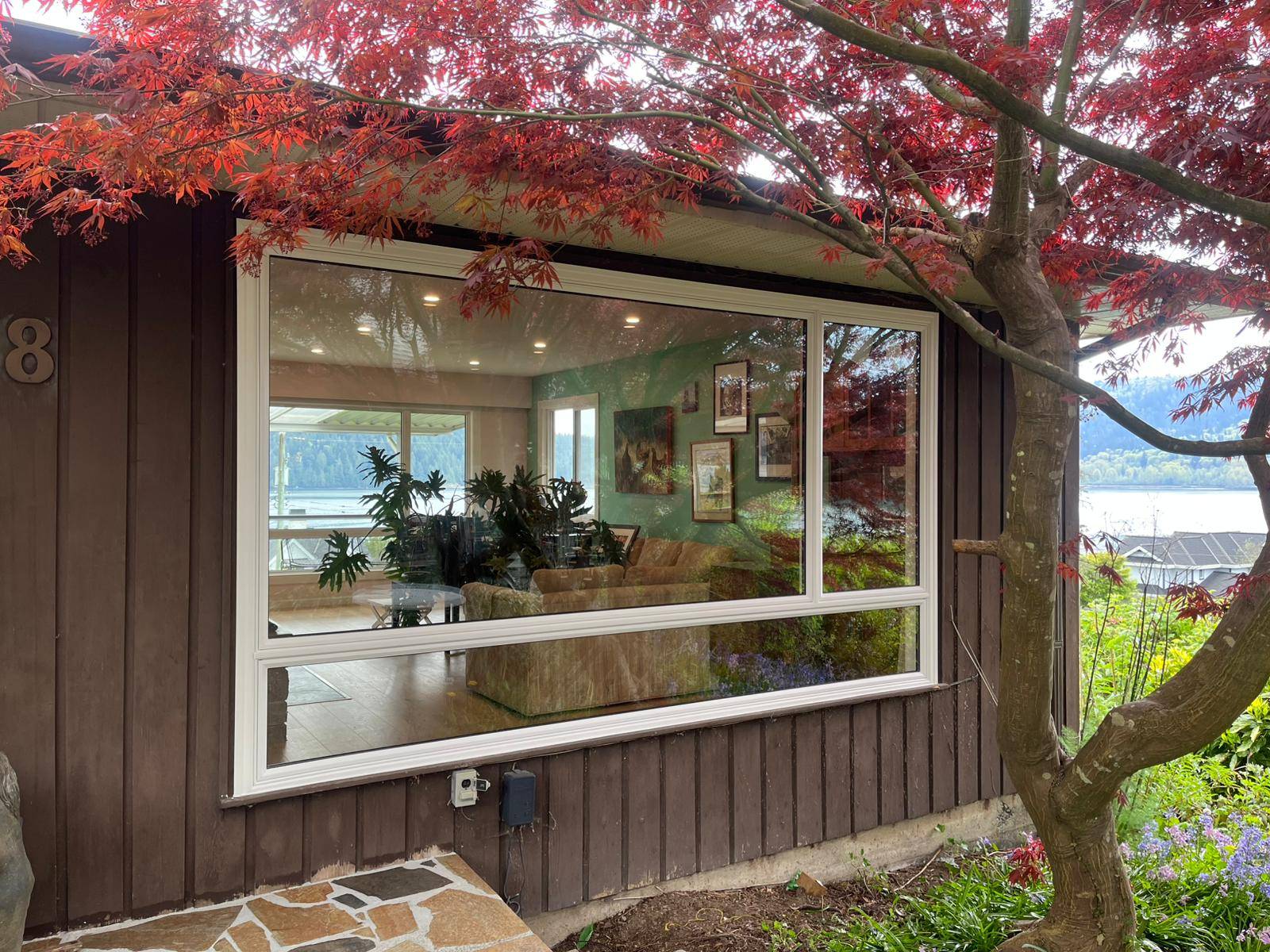 Big white living room window installed for maximum sunlight in Maple Ridge
